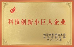 科技創新小巨人企業