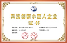 科技創新小巨人企業